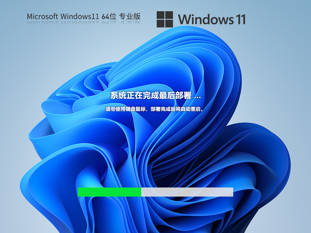 Windows11 22H2 64位 专业正式版